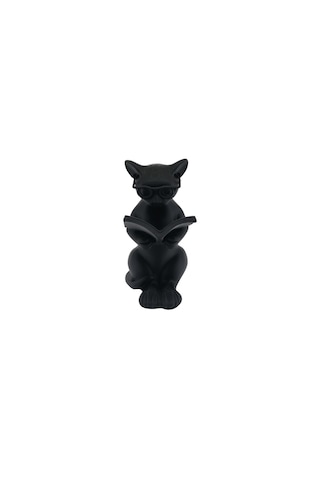 Kitaplık Aksesuarı - Kitap Okuyan Kedi 0