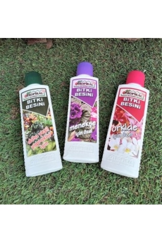 Bitki Besini 3'lü Set Menekşe Besini Orkide Besini Yeşil Yapraklı