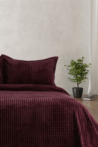 Merinos Modern Line 3 Parça Battaniye Seti Mor