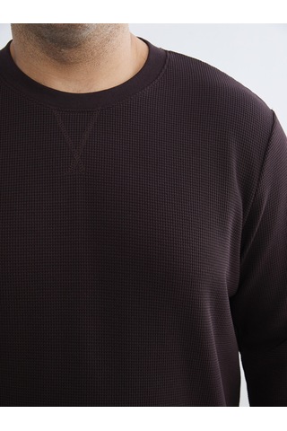 Lcwaıkıkı Classic Mürdüm Bisiklet Yaka Erkek Sweatshirt