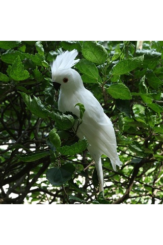 Maotai 4 Gerçekçi Canlı Macaw Papağan Figürinler Kuşlar Model Bahçe Süslemesi