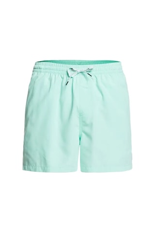 Quiksilver Everyday 15 M Jamv Erkek Deniz Şortu Eqyjv03531-gcz0 001