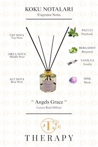 Therapy Smell, Angels Grace - Lüks Çubuklu Oda Kokusu / 120 Ml / Extra Clear Silindir Cam Şişe / Metal Altın Kapak Fresh