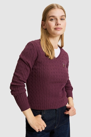 U.S. Polo Assn. Kadın Bordo V Yaka Basic Kazak 50327575-vr180 Dark Plum