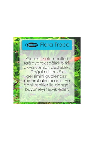 Flora Trace 500ml İz Elementler Akvaryum Bitki Renklendirici Gübre