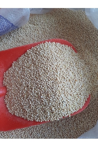 Mezbi Muhabbet Kuş Yemi Ak Darı Beyaz Sade 25 KG