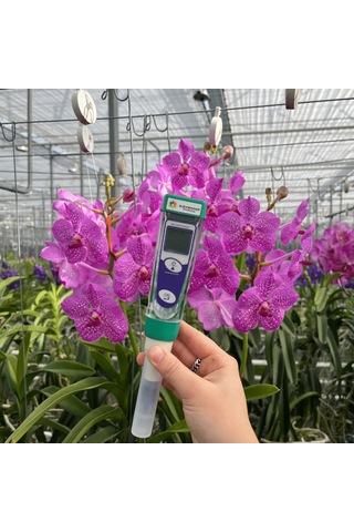 Nieuwkoop Ph1 Kalem Tip Ph Metre 0.00 14.00 Ph2620