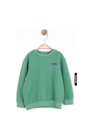 Xo Kids Erkek Bebek Sweatshirt 9-24 Ay 45620 Yeşil