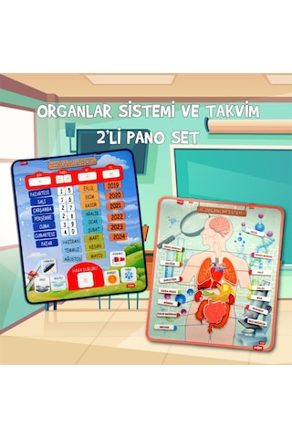 2 Set - 69 Parça Tox Iç Organlar ve Takvimi Öğreniyorum Keçe Cırt