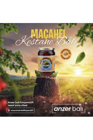 Buzluhan Analiz Raporlu Maçahel Kestane Balı 1 KG