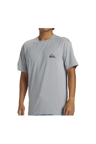 Quiksilver Quıksılver Everyday Surf Tee Ss Qua Çok Renkli