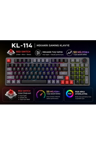 Mekanik Gaming Klavye Türkçe Q Kırmızı Switch 98 Tuş Rainbow Aydınlatmalı Usb Kablolu Oyuncu Klavyesi