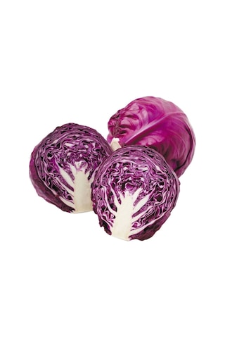 Kırmızı Lahana Tohum 30 Adet + Saksı + Torf - Set