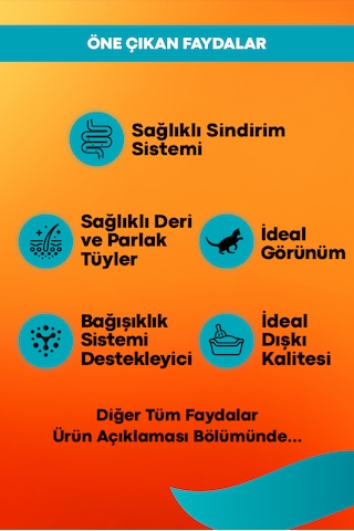 Sensitive Somon Ve Pirinçli Yetişkin Kedi Maması 2kg