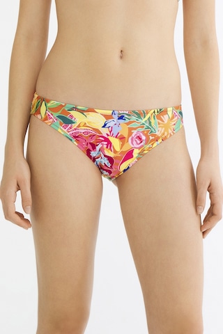 Penti Çok Renkli Flory Slip Bikini Altı