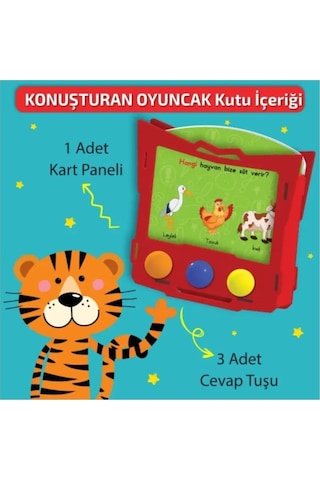 16 - 36 Ay Konuşturan Oyuncak