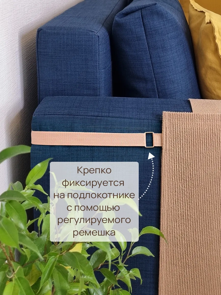 Aseliadia Kedi Kola Sopa Yıkama Aparatı 75x58 268845396