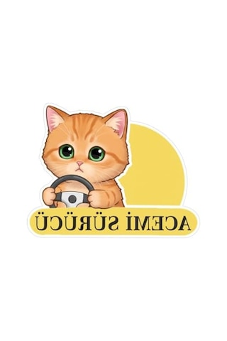 Sevimli Kedi Temalı Renkli Araba Etiketi Ve Sticker Seti Abanoz