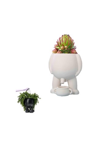 Komik İşeme Vazosu,yenilikçi İşeme Saksısı,idrar Saksısı Saksısı,drenajlı Sukulent Saksıları Saksıları,komik Saksısı