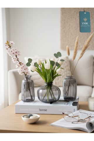 Chacha Home Modern 3'lü Minimalist Cam Çiçek Vazosu Dekoratif Masa Üstü Vazo Seti Füme