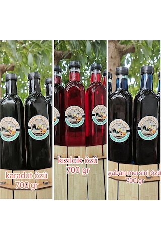 Eko 3 Lü Karadut Özü,kızılcık Özü,yaban Mersini Özü 3 700 Gr Diğer