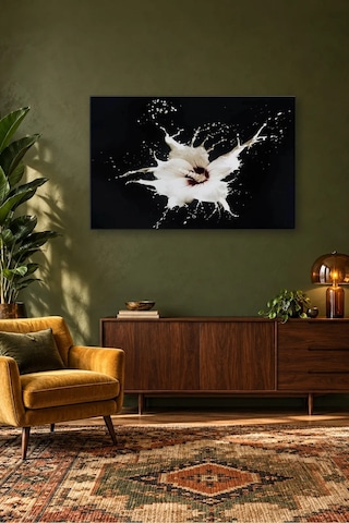 Fida Siyah Fonda Beyaz Sıçrama Canvas Tablo