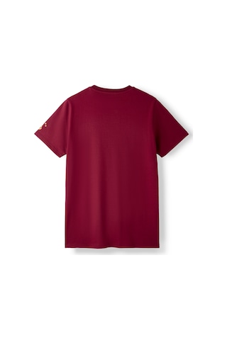 Gsstore Galatasaray Erkek T-shirt E261086 Bordo