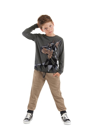 Denokids Mshb&g Doberman Erkek Çocuk T-shirt Pantolon Takım Çok Renkli