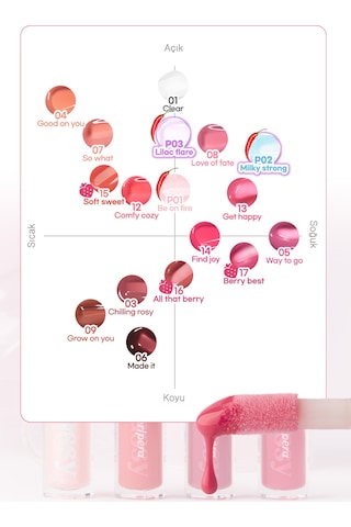 Dudaklara Dolgun Ve Işıltılı Görünüm Sunan Gloss Perıpera Ink Glasting Lip Gloss 5 Way To Go 5 Way To Go