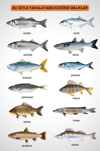 30 Parça Deniz Ve Göl Profesyonel Olta Takımı Seti - 360cm Kamış 100-300gr / 60'lık Makine - Ful Set