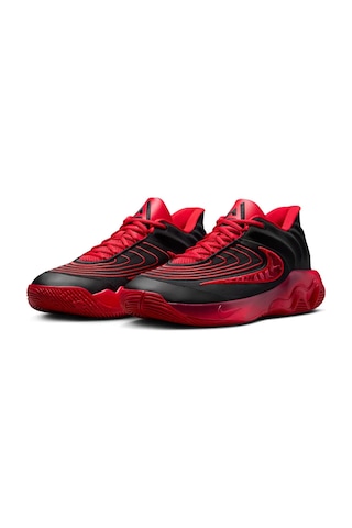 Nike Nıke Gıannıs Immortalıty 4 Erkek Basketbol Ayakkabısı Fq3680 Fq3680 004 Çok Renkli