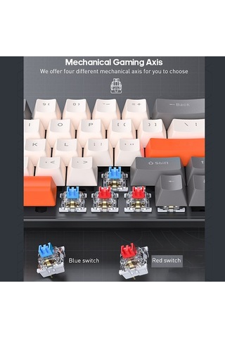 Carrier 68 Tuşlu Mekanik Klavye - Rgb Aydınlatma, 10 Işık Modu,