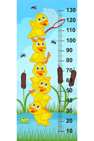 Çocuk Odası Bebek Odası Boy Ölçer Boy Cetveli Sticker Ördekler