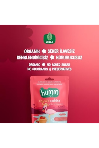 Organik Vegan Çilekli Kurabiye Atıştırmalık Paketi - 12 Adet 640 G