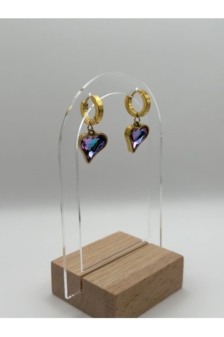 Arnes Jewelry Çelik Renkli Zirkon Taşlı Kalpli Küpe Ar305nes Gold
