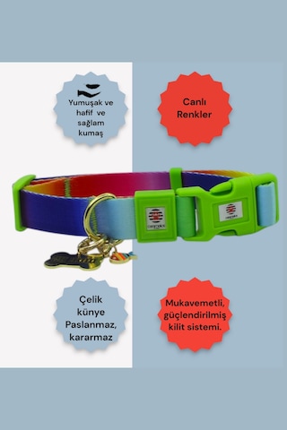 Caramelos Köpek Tasma Seti Kişiye Özel Künyeli İsimli Tasma Çkrnk Çok Renkli