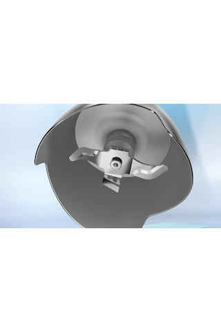 Bosch MSM4B620 1000 W El Tipi Blender