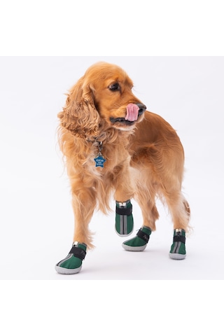 Pawstar Yeşil Köpek Ayakkabısı