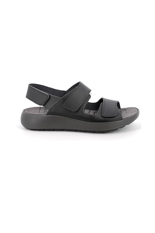 Sandalet Erkek Diğer 7648000 Igı&co Upl 76480vıtel. Scırocco Nero Siyah