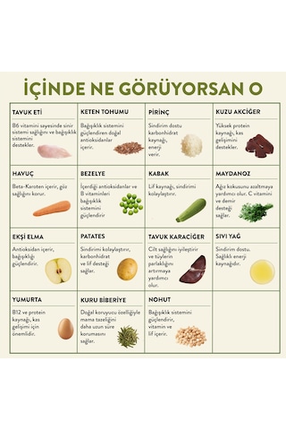 Kito Fresh Tavuk Etli Taze Yetişkin Köpek Yemeği 250 G
