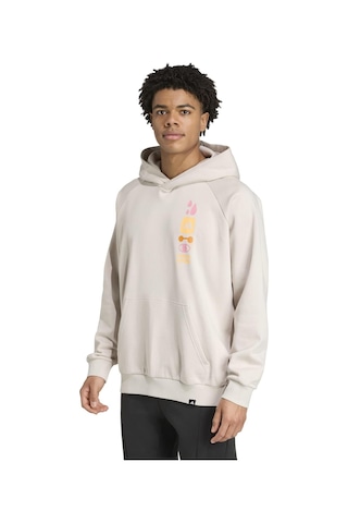 Jv8779-e Adidas Gfx Hoodıe Erkek Sweatshirt Bej Jv8779-e Bej