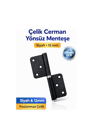Çelik Cerman Yönsüz Kapı Menteşesi Siyah 12 Mm Paslanmaz Çelik Kapı Menteşesi
