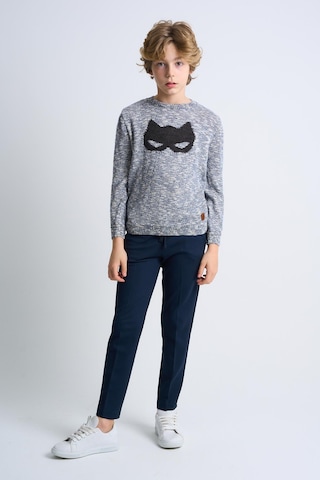 Alexandergardı Desenli Triko Çocuk Kazak Mavi