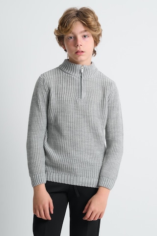 Alexandergardı Dik Yaka Fermuarlı Erkek Çocuk Kazak C23-7108 Gri