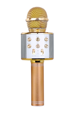 Leezsing Altın Bt Kablosuz Mikrofon Ve Hoparlör Birleşik Cihaz, Üç Katmanlı Gürültü Azaltma, Tf Kart Desteği, Profesyonel Karaoke Deneyimi