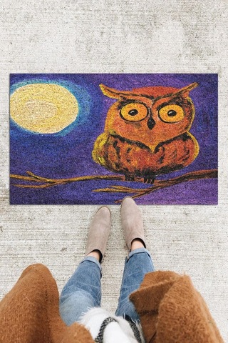 Baykuş Kapı Önü Paspası Dekoratif Kapı Paspası Dış Mekân Paspas Ev İçi Paspası 45x70cm Diğer