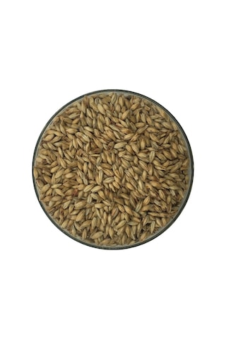 Hitit Malt Münih Arpa Maltı 1 KG Hitit Malt Münih Arpa Maltı 1 KG