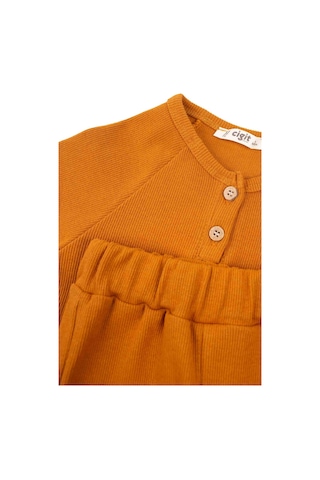 Cigit Reglan Kol Patlı Erkek Basıc Takım 1-5 Yaş Oranj Oranj