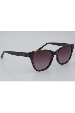 Blancia Bc 1177 C2 53 - 01 Güneş Gözlüğü Leopar
