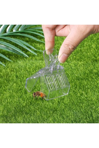 Arı Kraliçesi Yakalayıcı Plastik Klipsler Kraliçe Arı Kafesi Arıcılık Aletleri 5 Adet Şeffaf